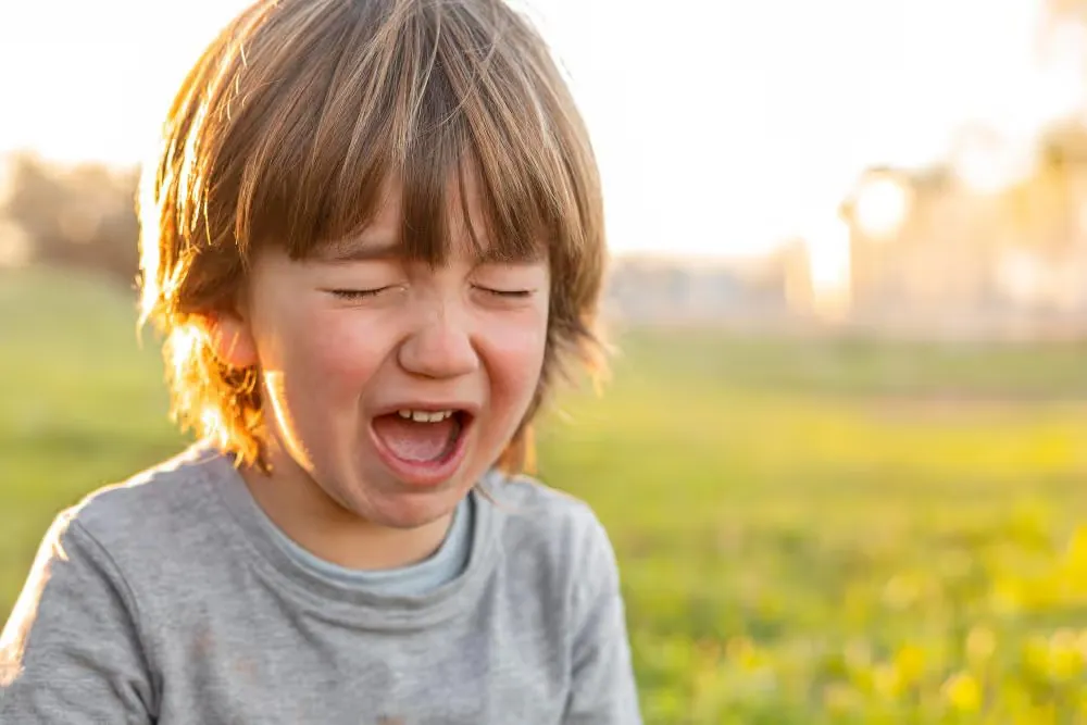 What Are Autism Meltdowns?