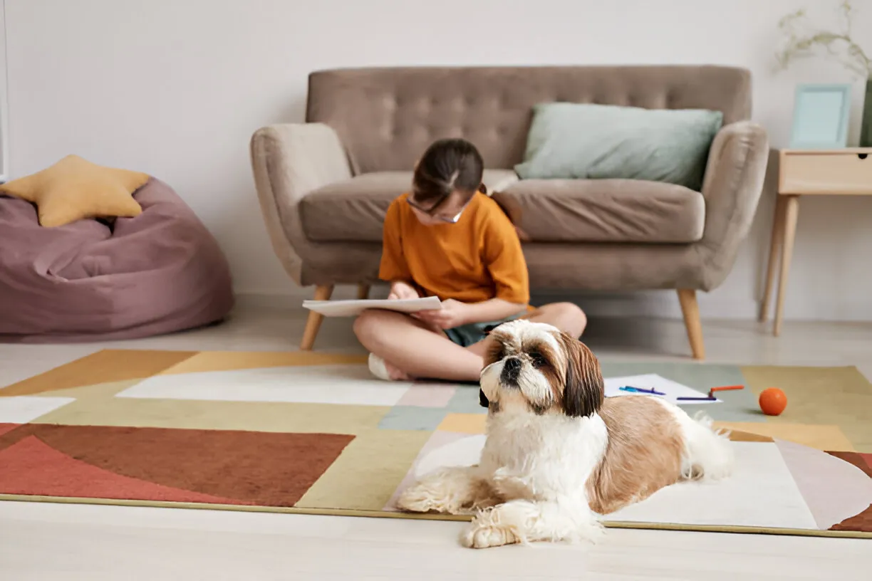 Autism Animal & Pet Therapy