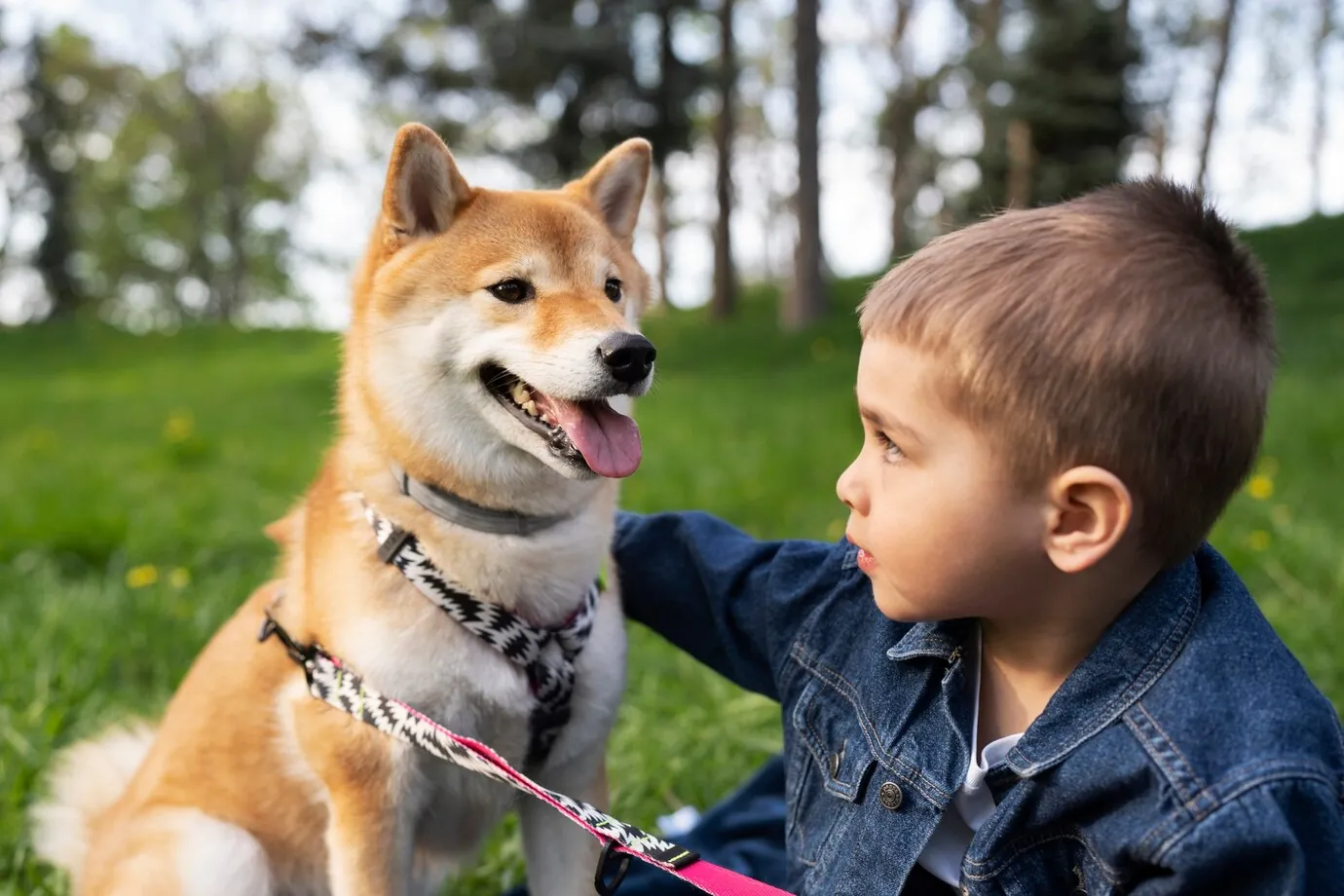 Best Dogs For Autism