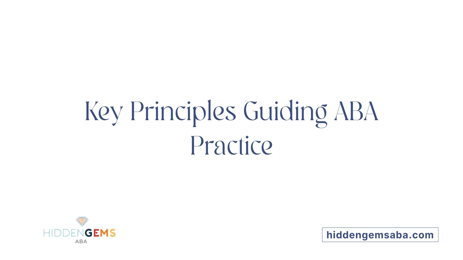 Key Principles Guiding ABA Practice